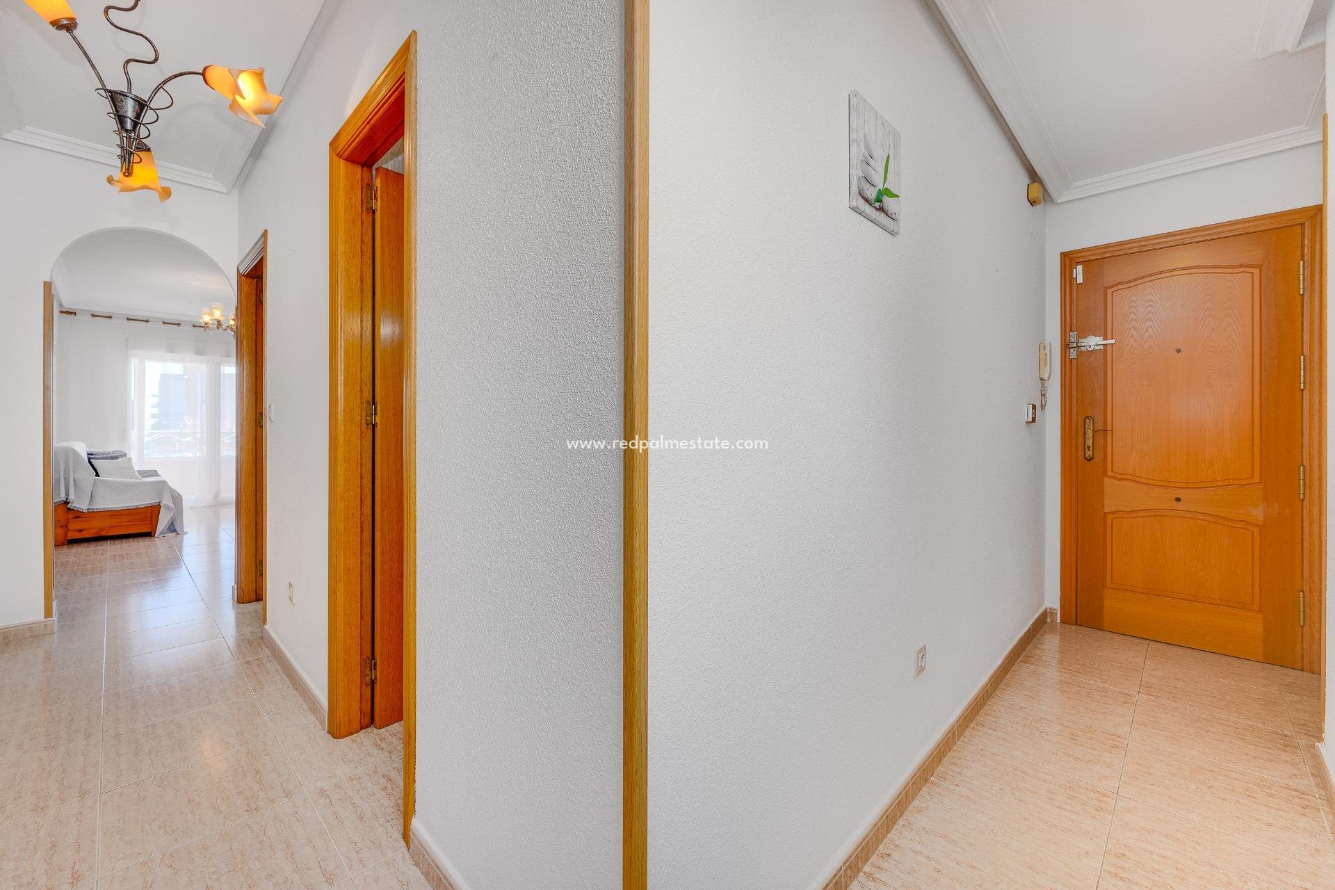 Reventa - Apartmentos -
Torrevieja - Centro Torrevieja