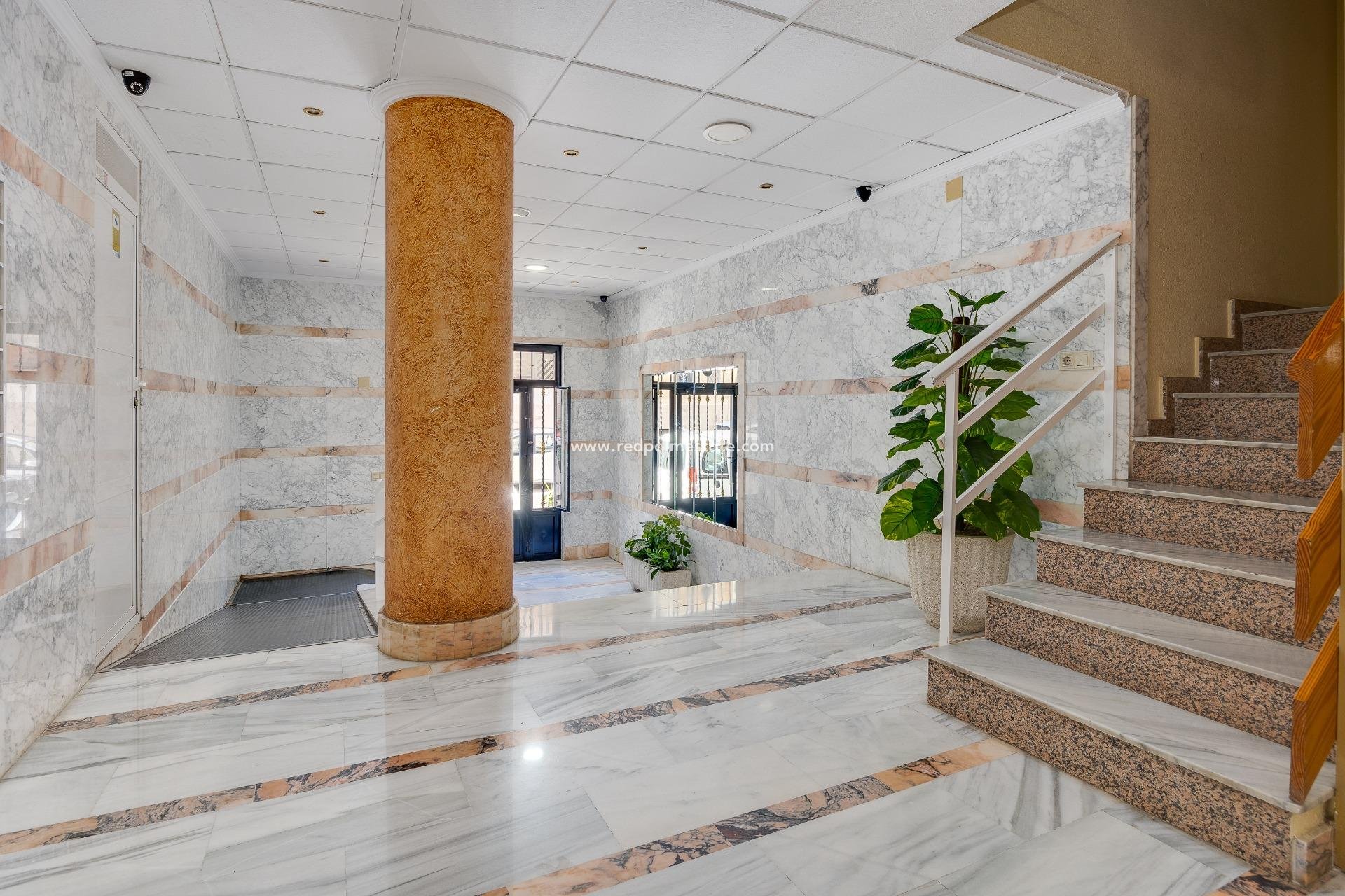 Reventa - Apartmentos -
Torrevieja - Centro Torrevieja