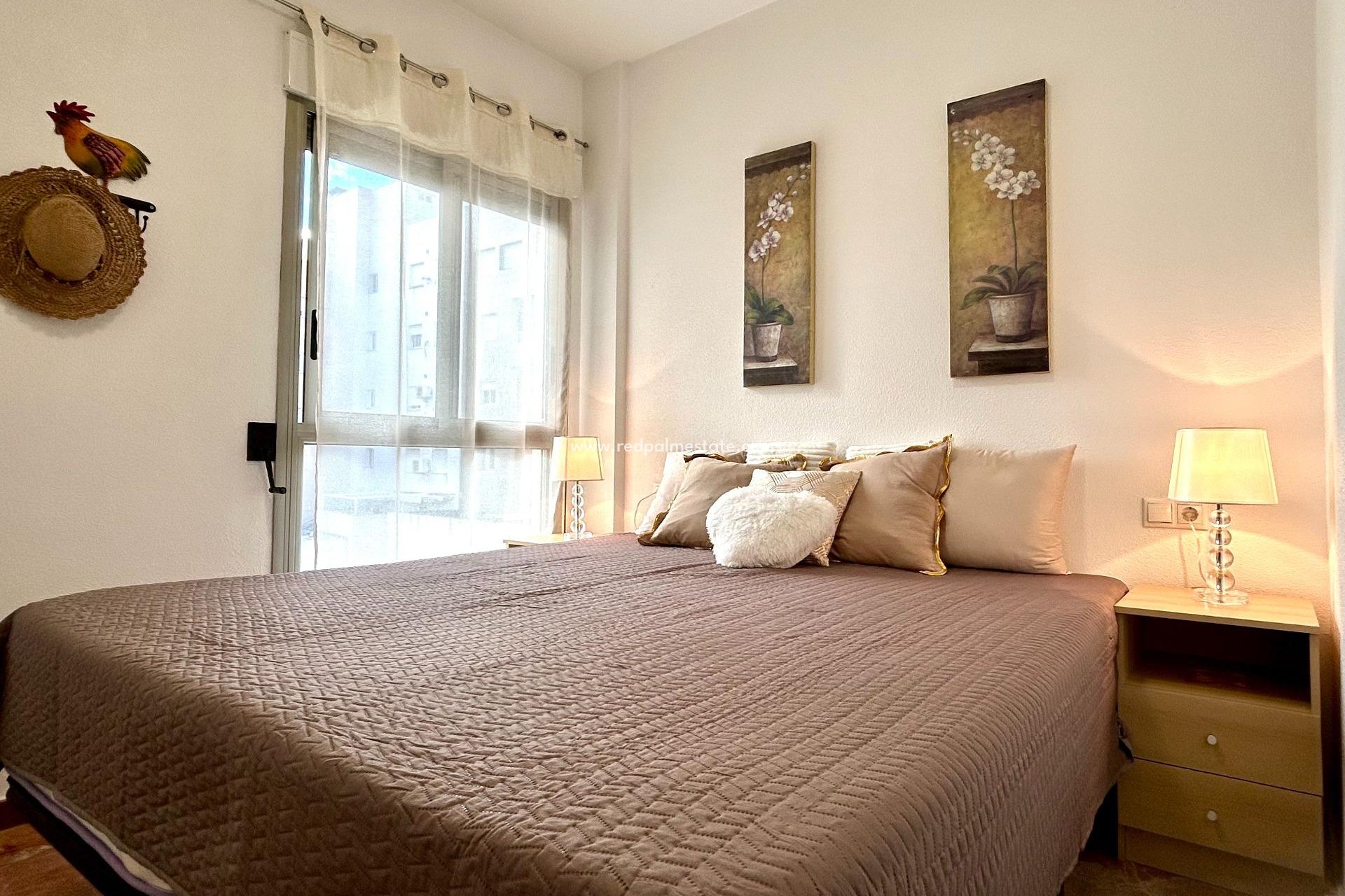 Reventa - Apartmentos -
Torrevieja - Centro Torrevieja