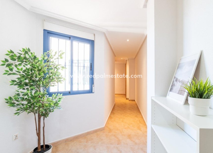 Reventa - Apartmentos -
Torrevieja - Centro Torrevieja