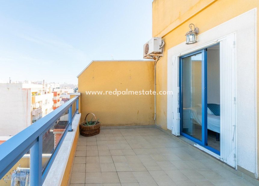 Reventa - Apartmentos -
Torrevieja - Centro Torrevieja