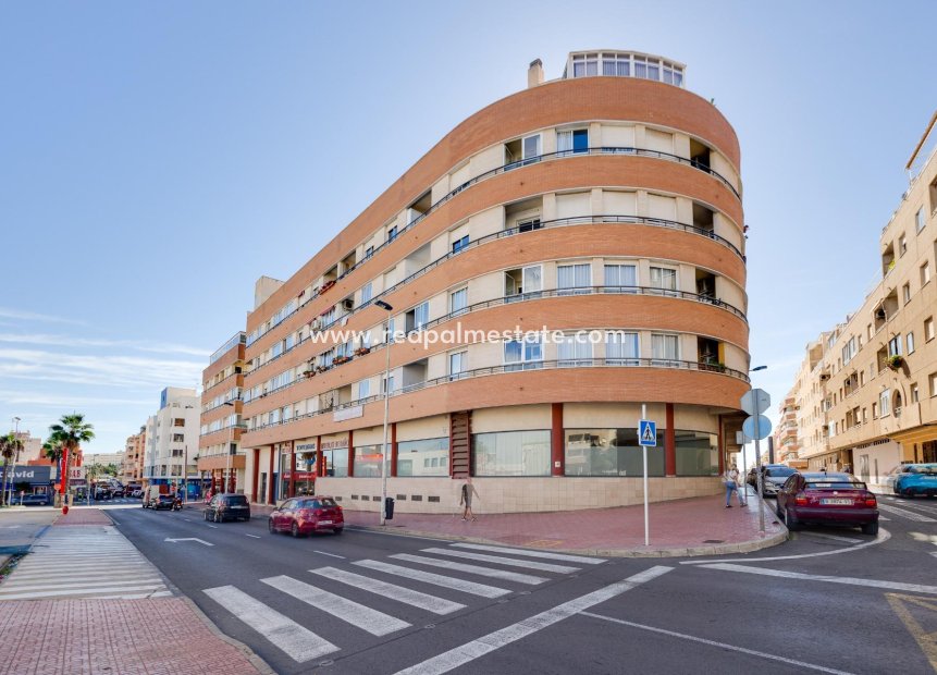 Reventa - Apartmentos -
Torrevieja - Centro Torrevieja