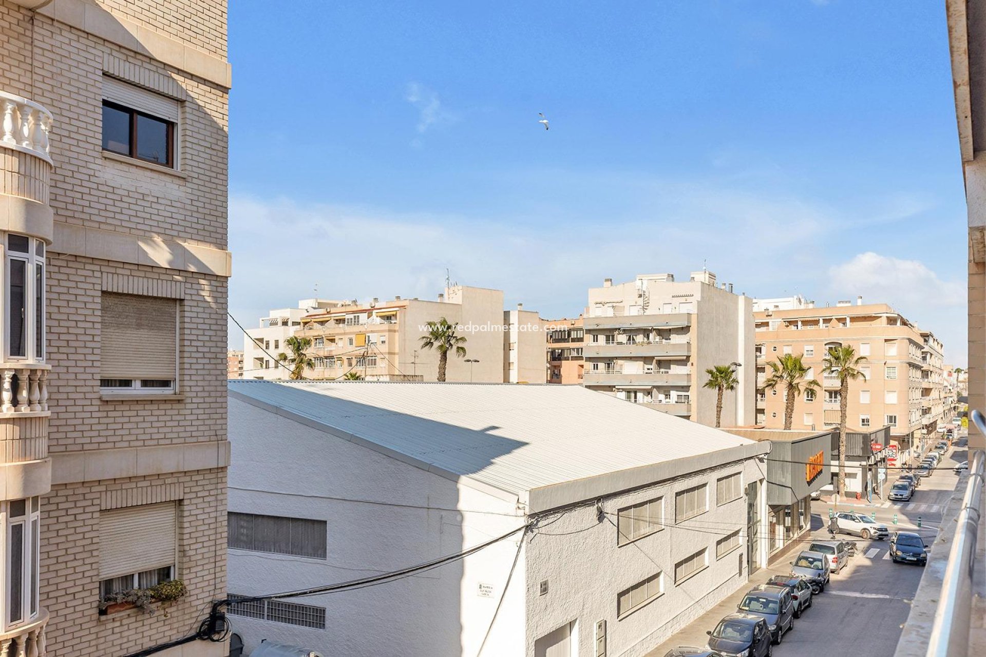 Reventa - Apartmentos -
Torrevieja - Centro Torrevieja