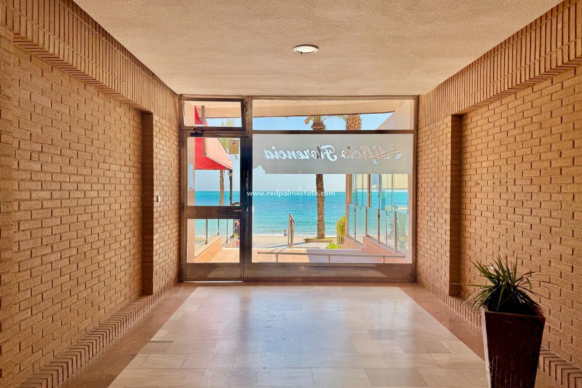 Reventa - Apartmentos -
Torrevieja - Centro Torrevieja