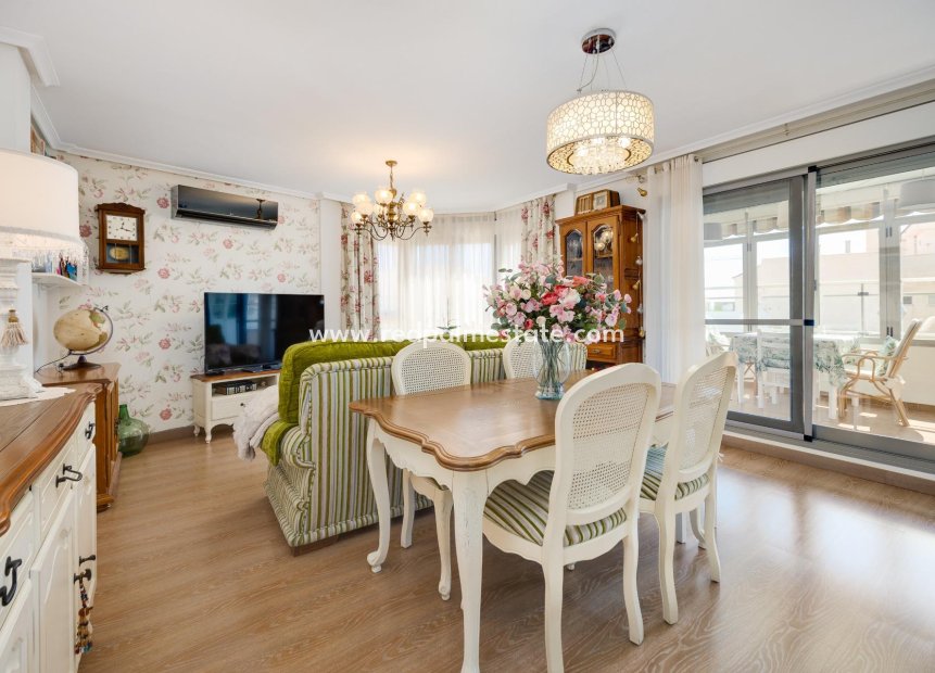 Reventa - Apartmentos -
Torrevieja - Centro Torrevieja