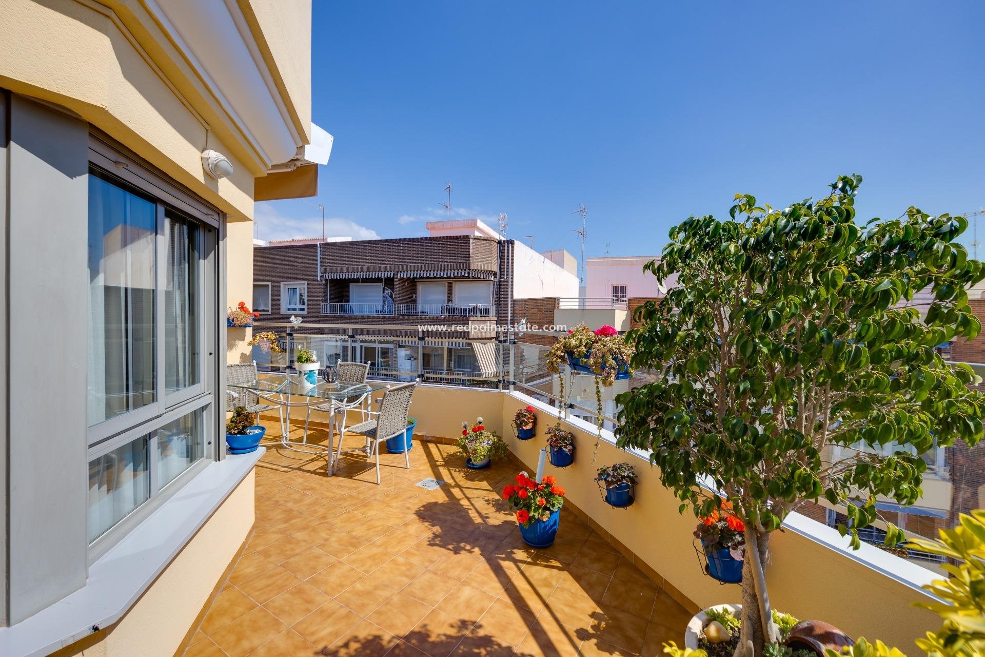 Reventa - Apartmentos -
Torrevieja - Centro Torrevieja