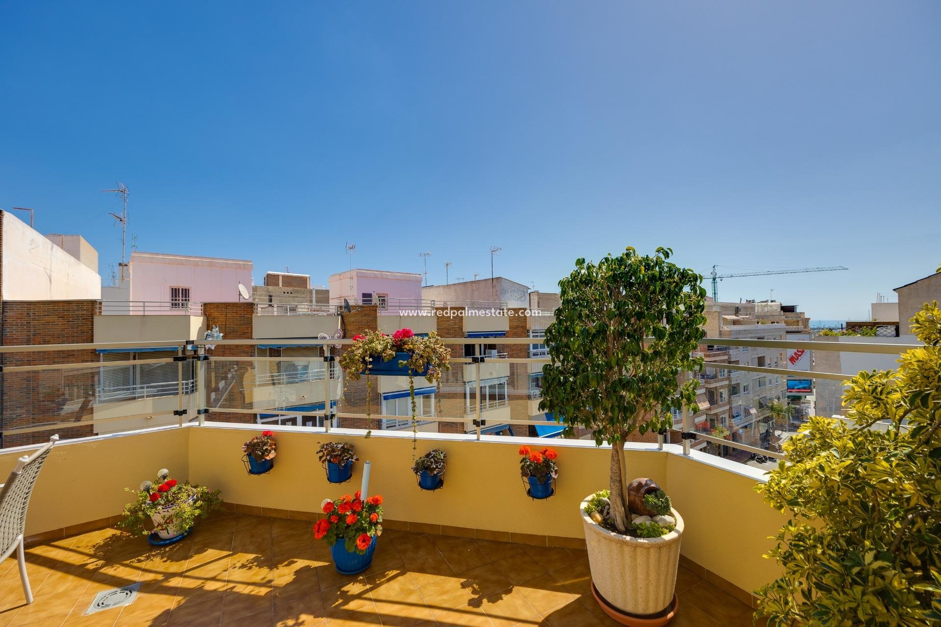 Reventa - Apartmentos -
Torrevieja - Centro Torrevieja