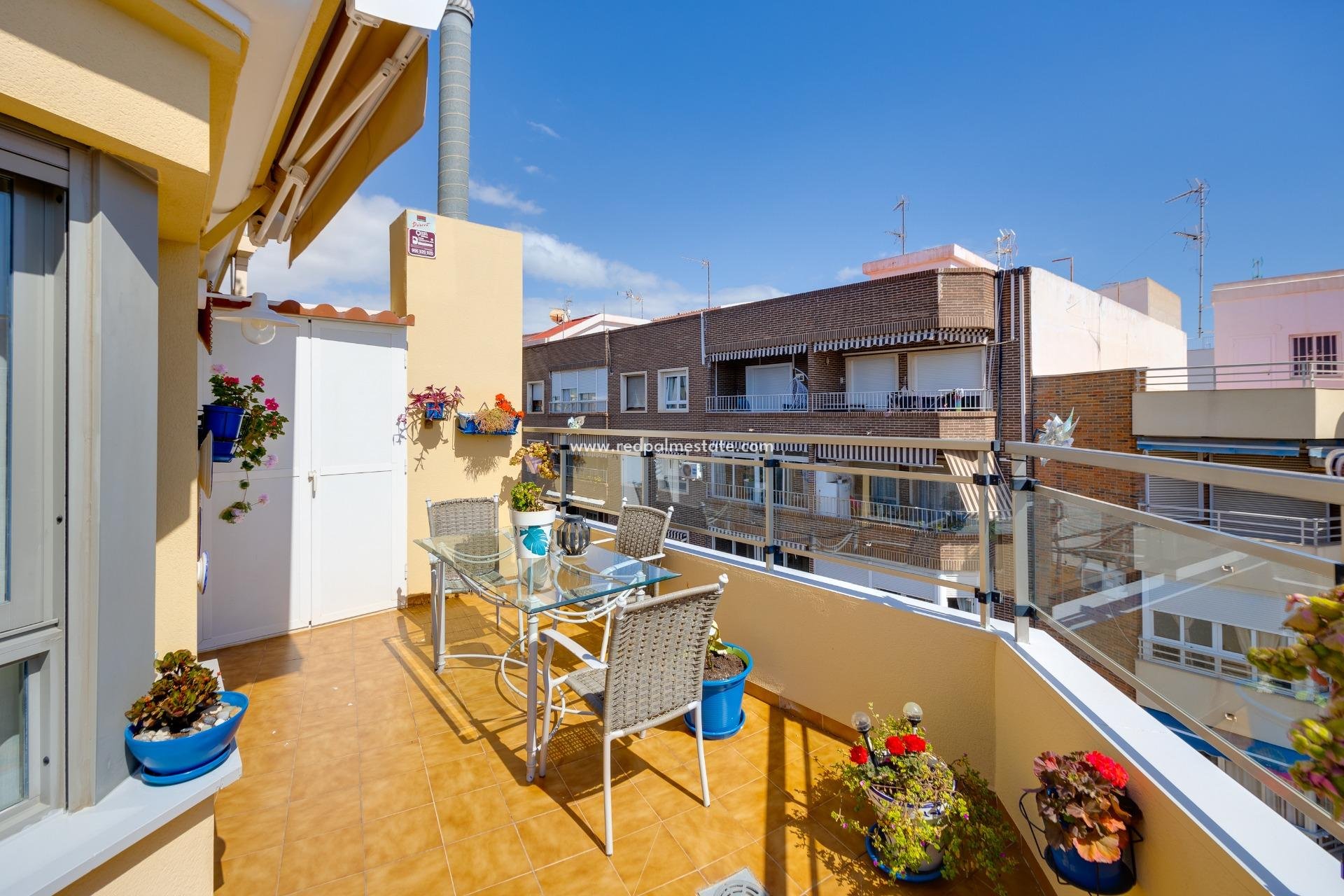 Reventa - Apartmentos -
Torrevieja - Centro Torrevieja