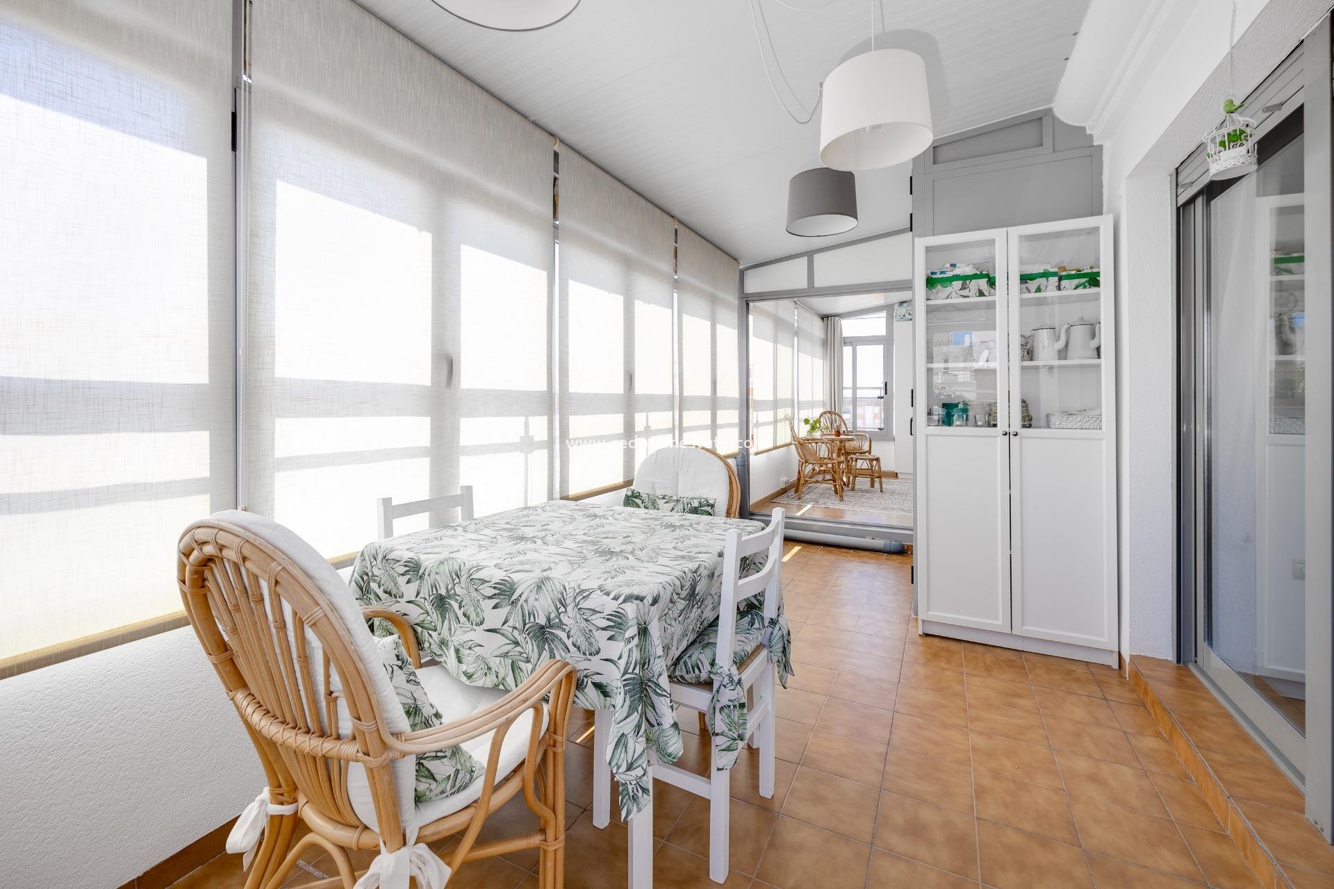 Reventa - Apartmentos -
Torrevieja - Centro Torrevieja