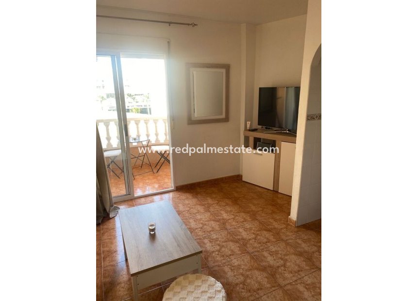 Reventa - Apartmentos -
Torrevieja - Centro Torrevieja