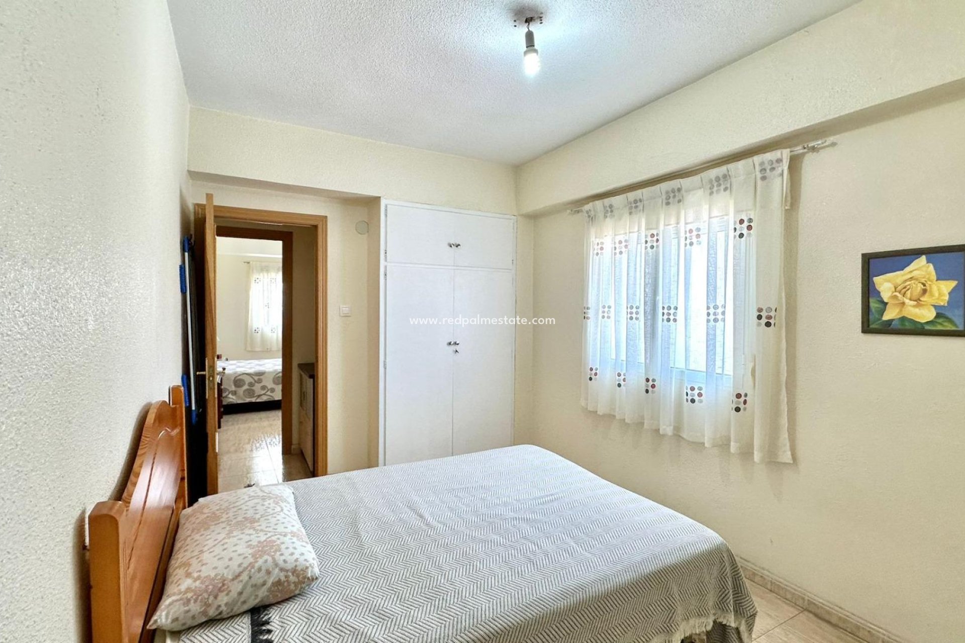 Reventa - Apartmentos -
Torrevieja - Centro Torrevieja