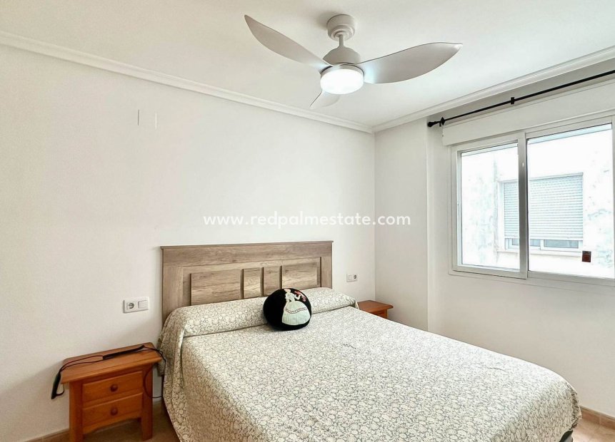 Reventa - Apartmentos -
Torrevieja - Centro Torrevieja