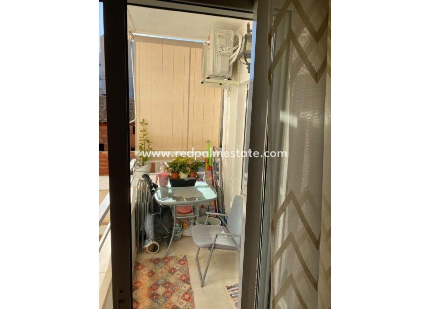 Reventa - Apartmentos -
Torrevieja - Centro Torrevieja