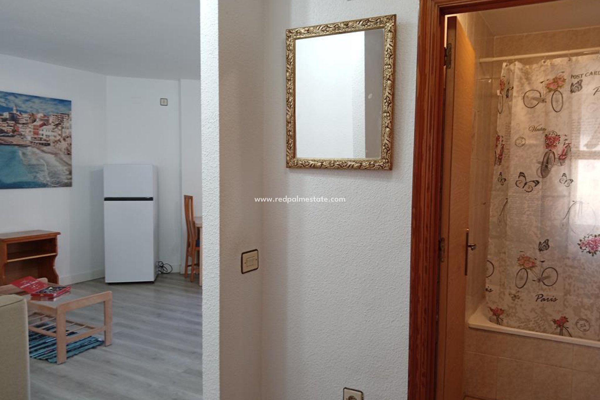 Reventa - Apartmentos -
Torrevieja - Centro Torrevieja