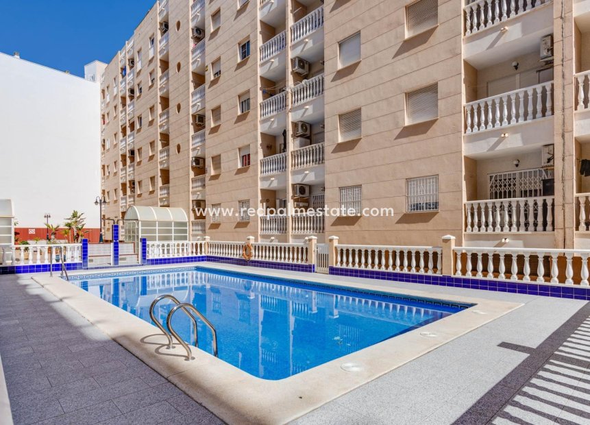 Reventa - Apartmentos -
Torrevieja - Centro Torrevieja