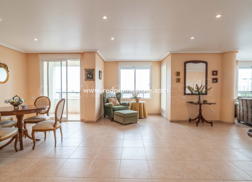 Reventa - Apartmentos -
Torrevieja - Centro