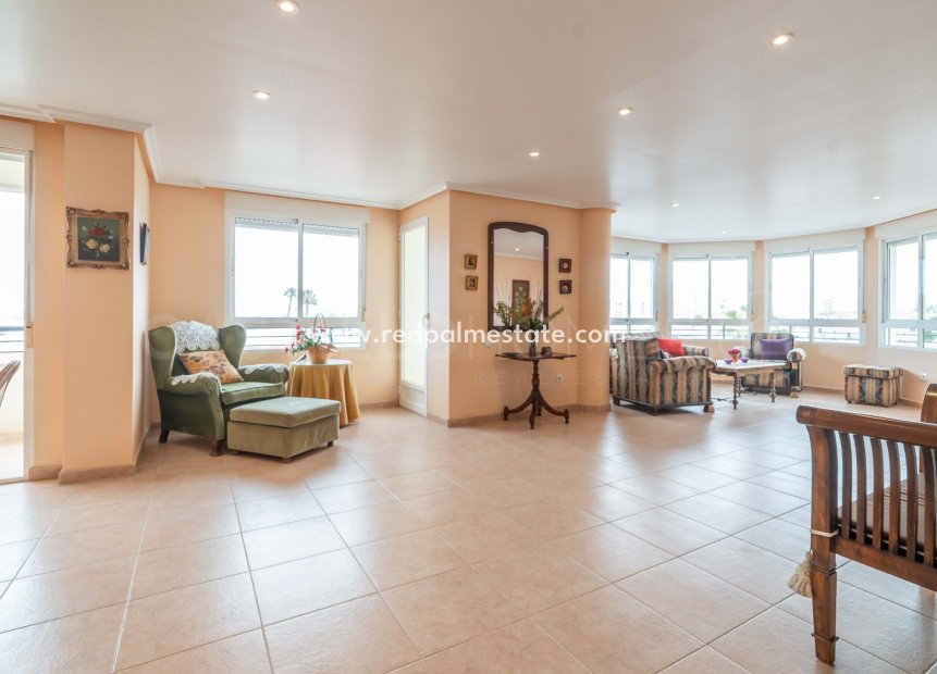 Reventa - Apartmentos -
Torrevieja - Centro