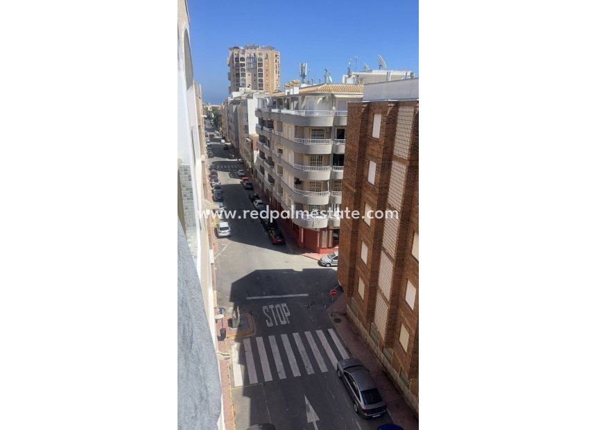Reventa - Apartmentos -
Torrevieja - Centro