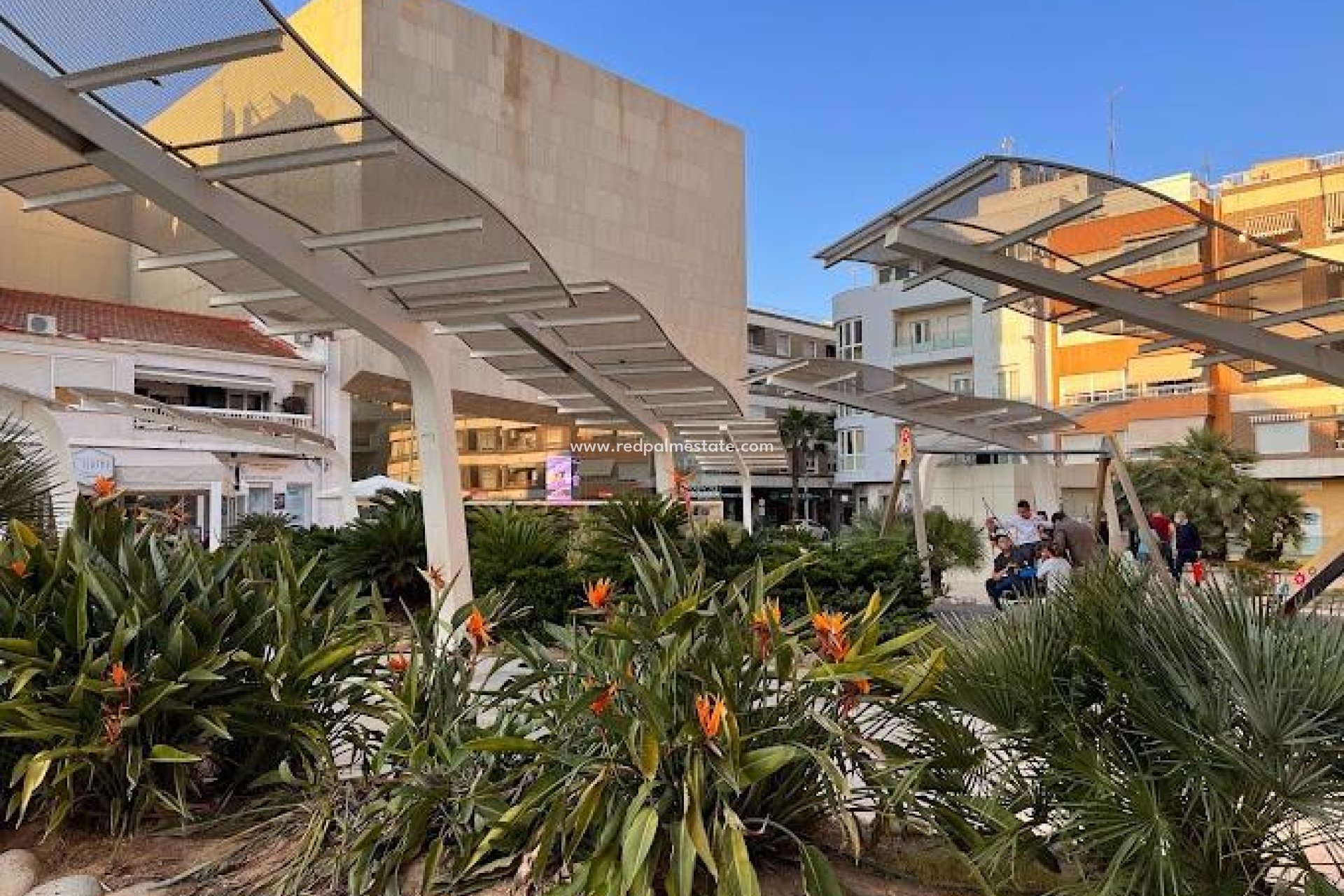 Reventa - Apartmentos -
Torrevieja - Centro