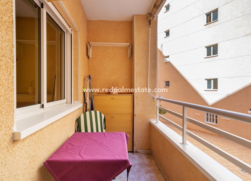 Reventa - Apartmentos -
Torrevieja - Centro