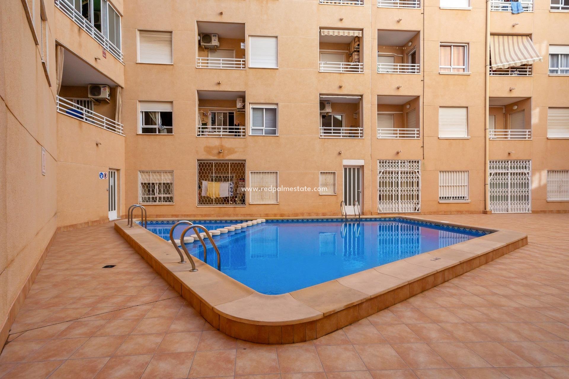 Reventa - Apartmentos -
Torrevieja - Centro