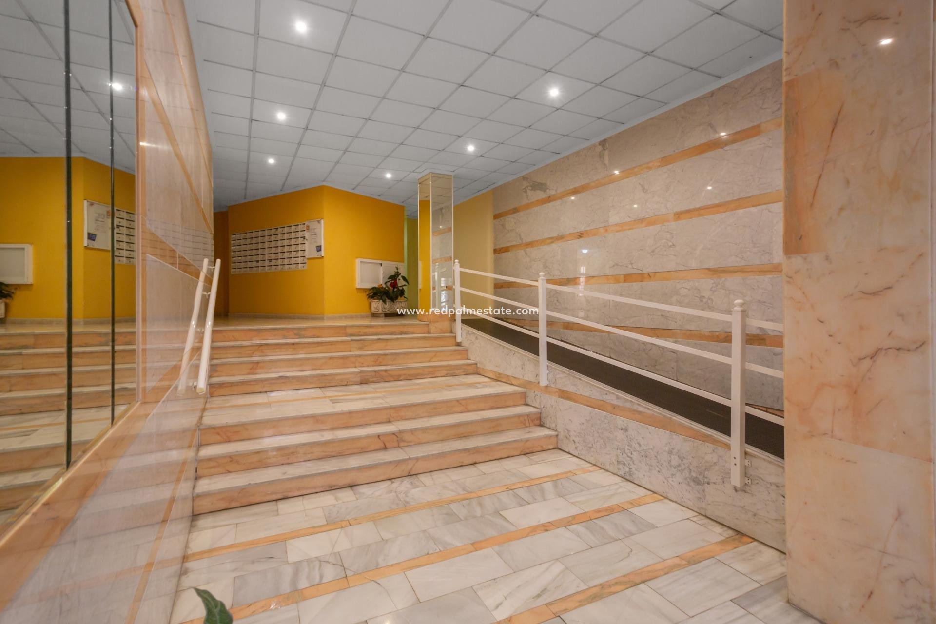 Reventa - Apartmentos -
Torrevieja - Centro