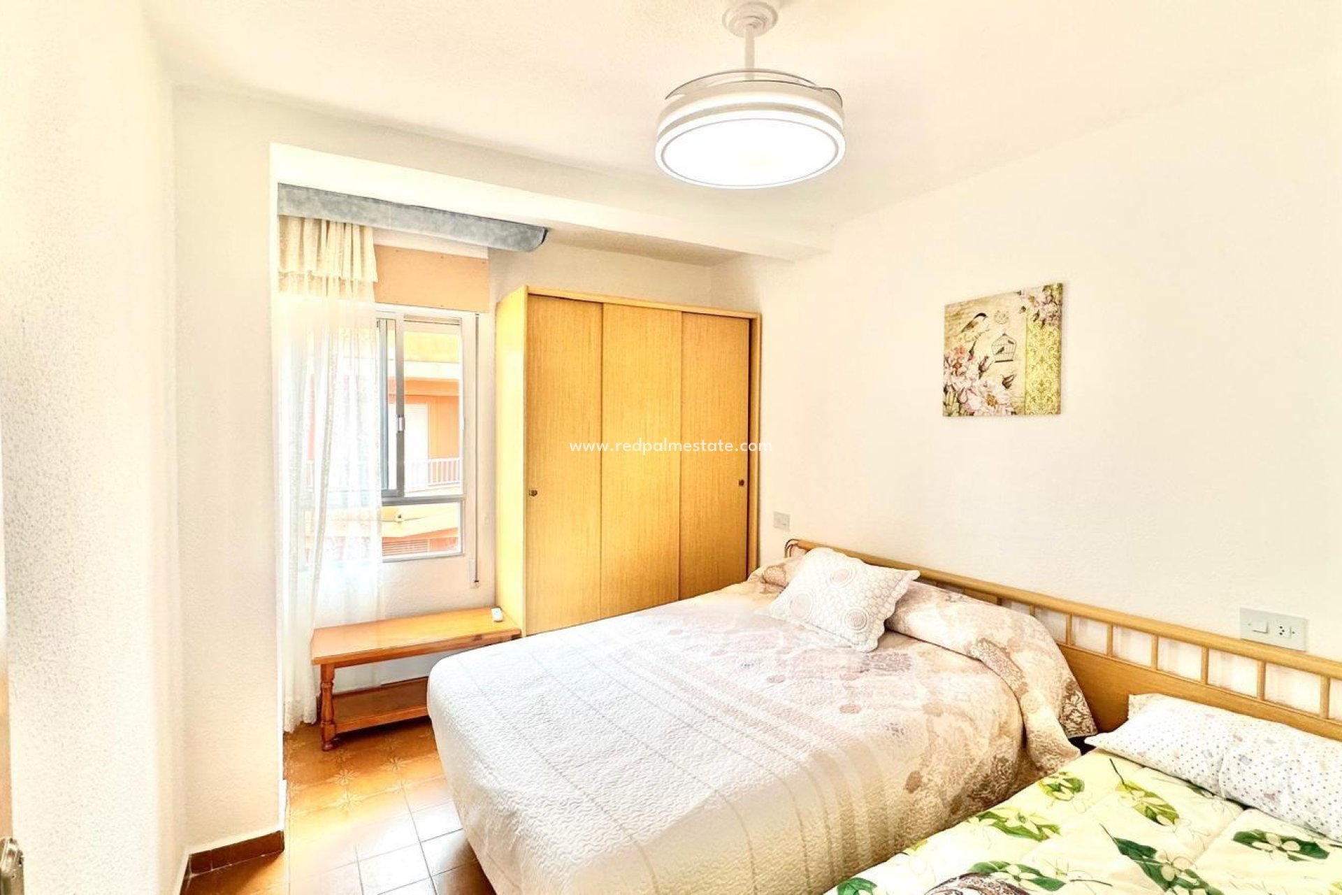 Reventa - Apartmentos -
Torrevieja - Centro