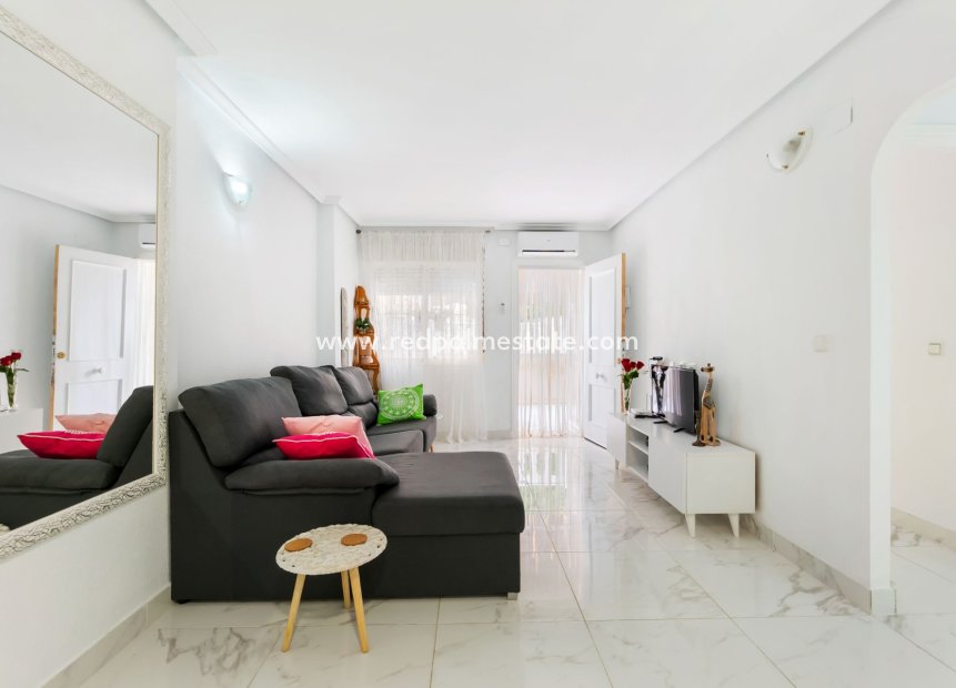 Reventa - Apartmentos -
Torrevieja - Centro