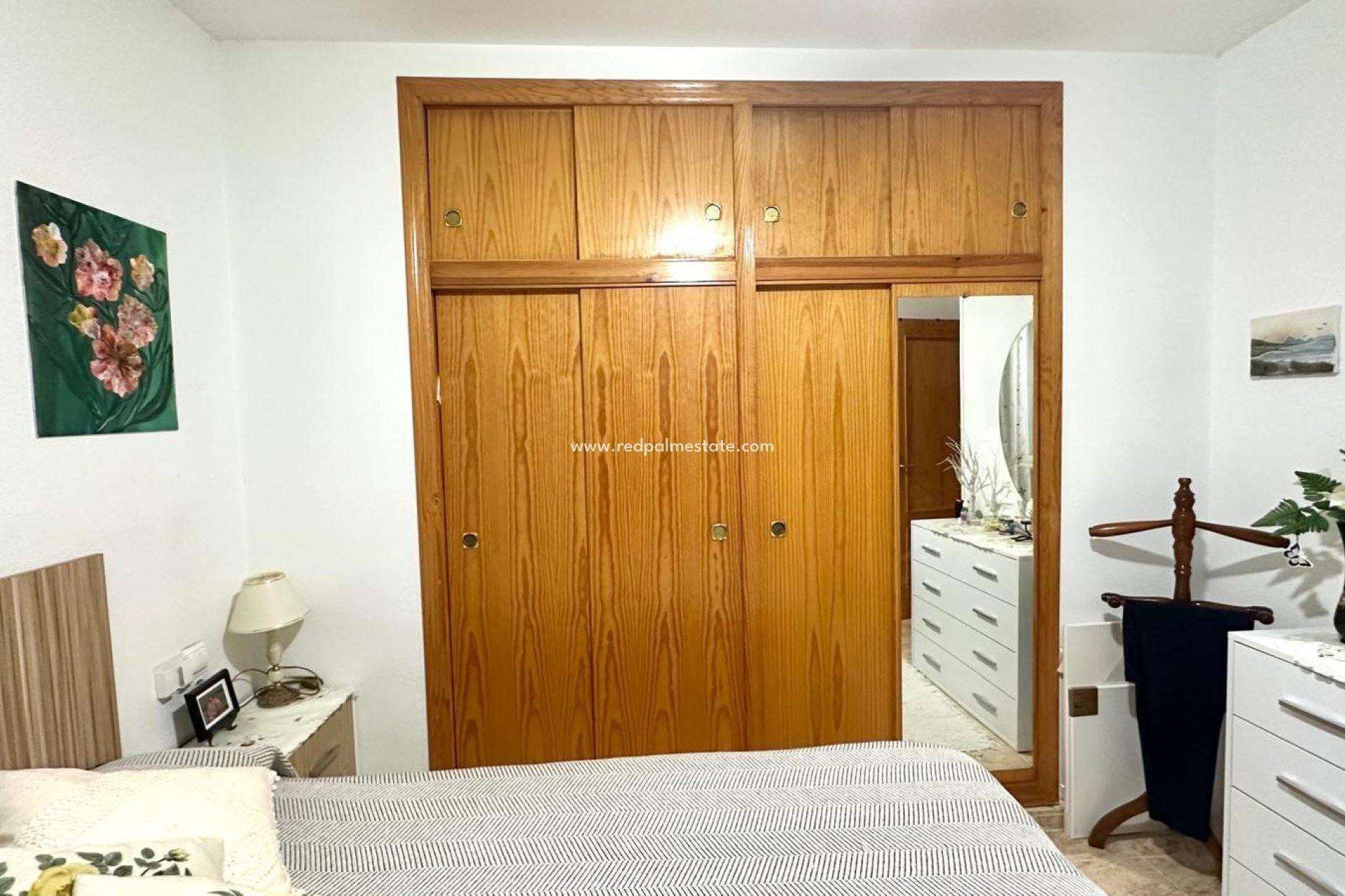 Reventa - Apartmentos -
Torrevieja - Centro