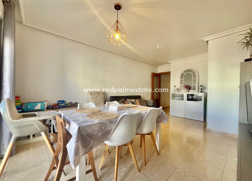 Reventa - Apartmentos -
Torrevieja - Centro