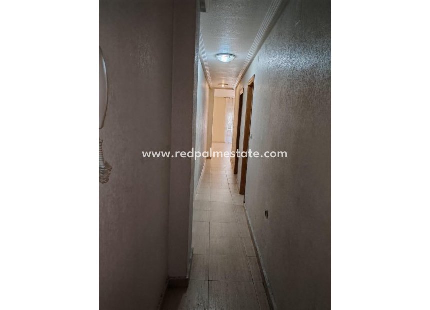 Reventa - Apartmentos -
Torrevieja - Centro