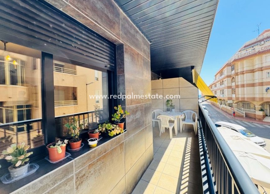 Reventa - Apartmentos -
Torrevieja - Costa Blanca