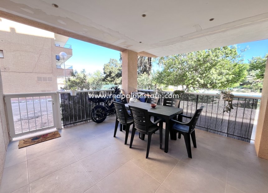 Reventa - Apartmentos -
Torrevieja - Costa Blanca