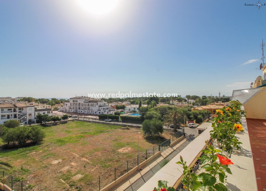 Reventa - Apartmentos -
Torrevieja - Costa Blanca