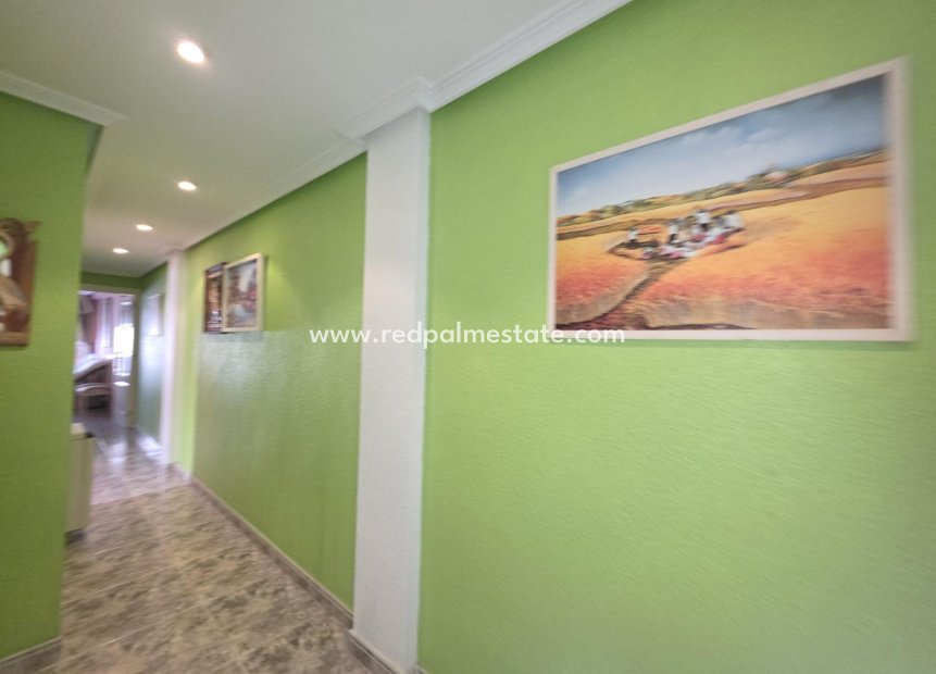 Reventa - Apartmentos -
Torrevieja - El Acequión - Los Náufragos