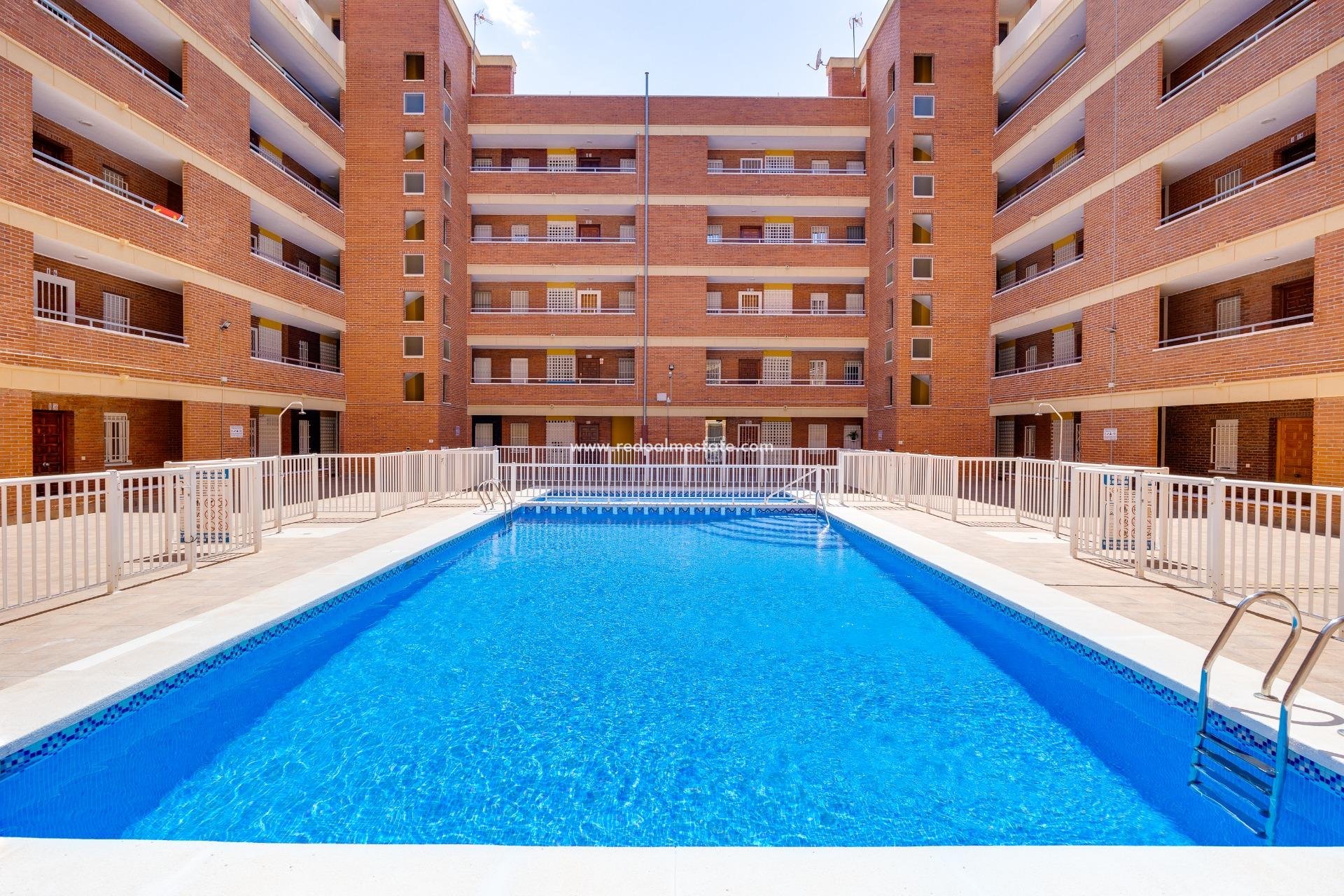Reventa - Apartmentos -
Torrevieja - El Acequión - Los Náufragos