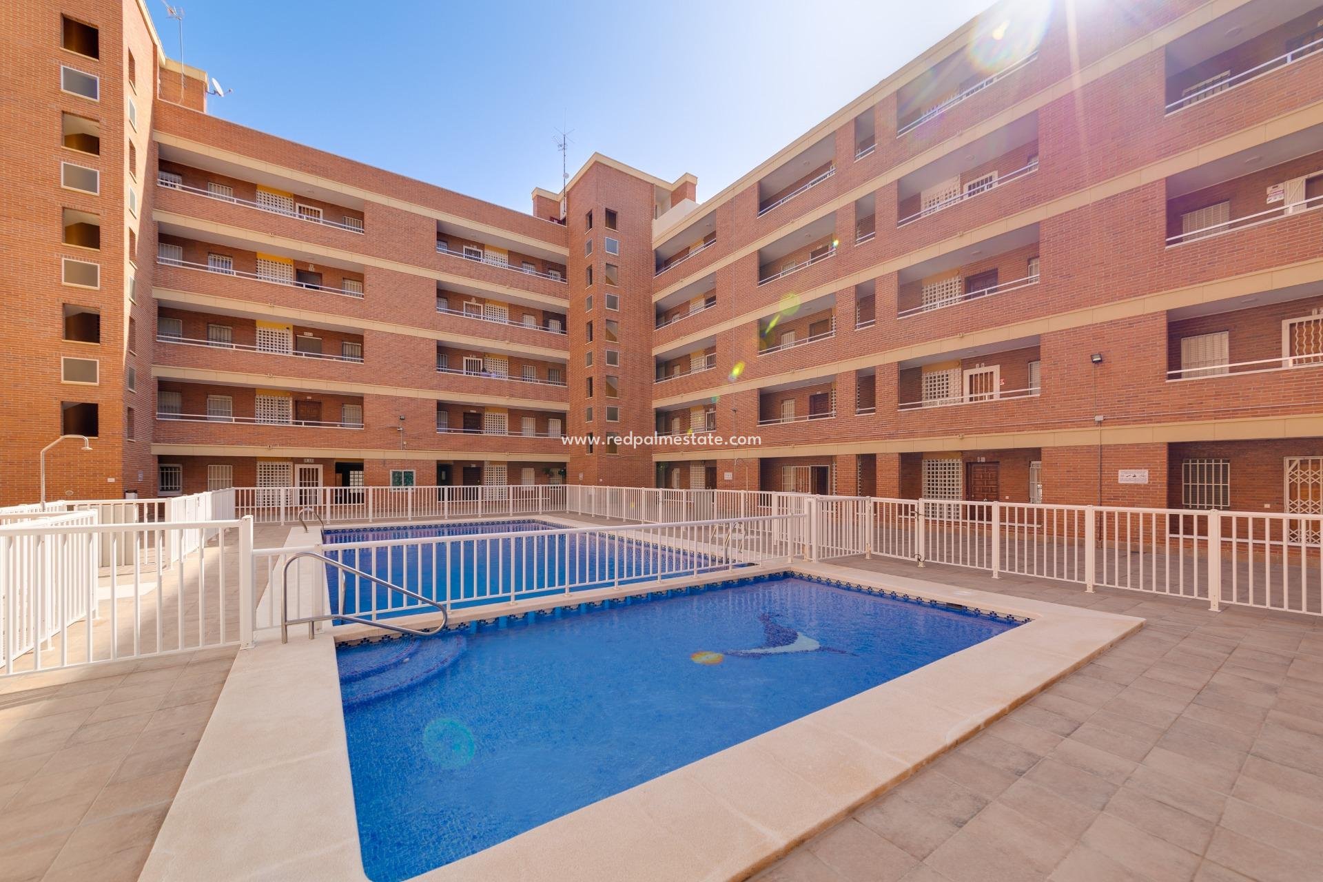 Reventa - Apartmentos -
Torrevieja - El Acequión - Los Náufragos