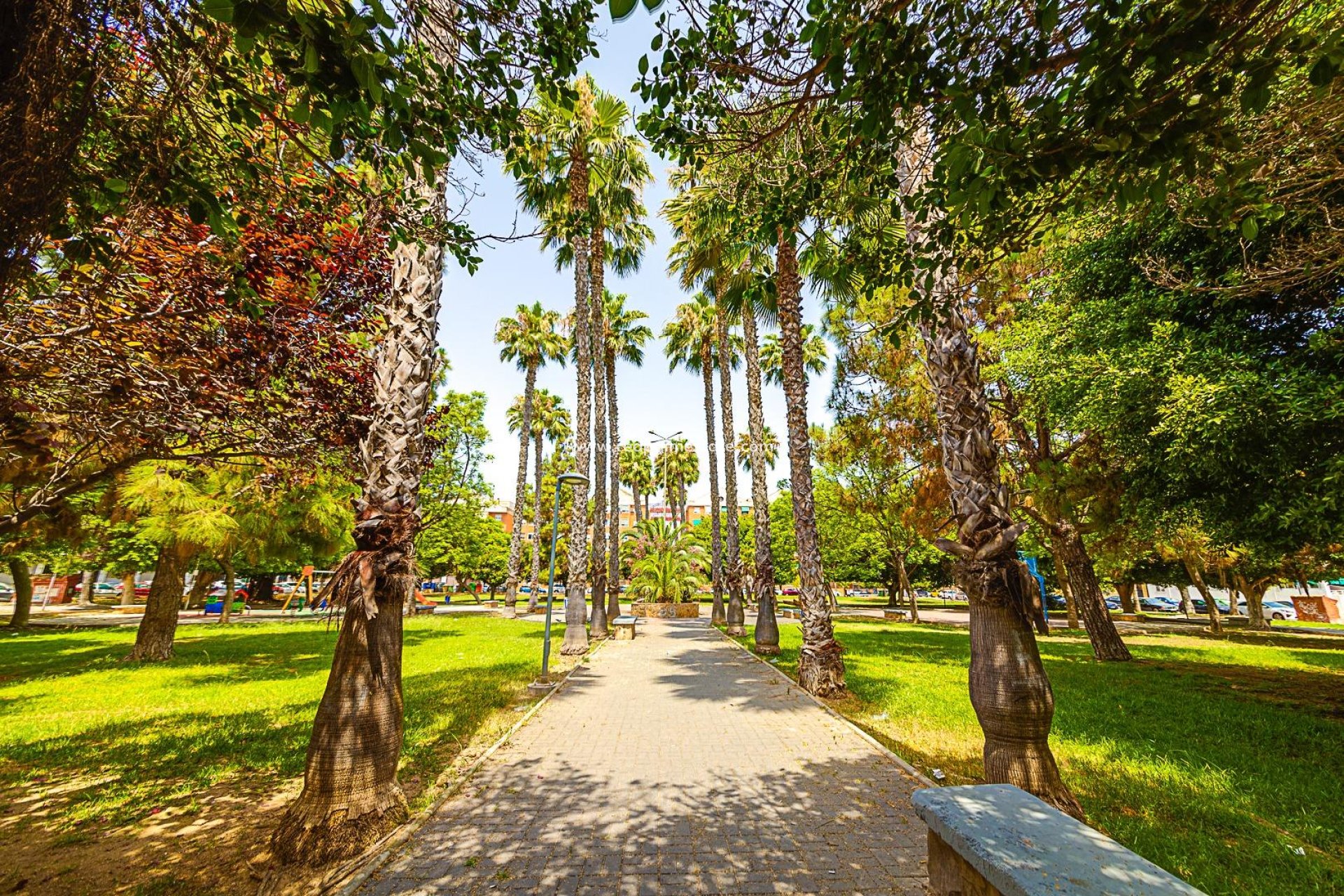 Reventa - Apartmentos -
Torrevieja - El Acequión - Los Náufragos