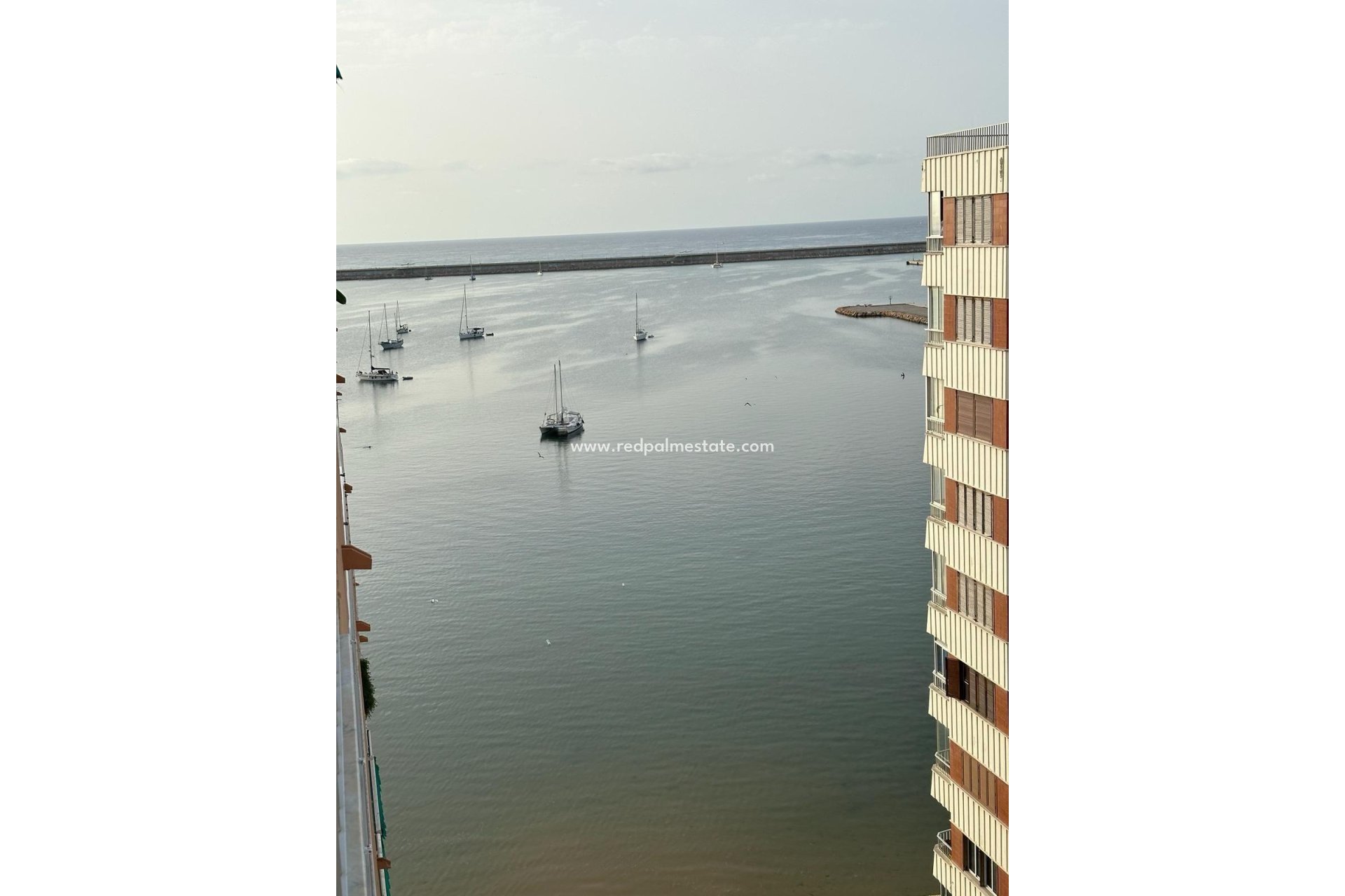 Reventa - Apartmentos -
Torrevieja - El Acequión - Los Náufragos