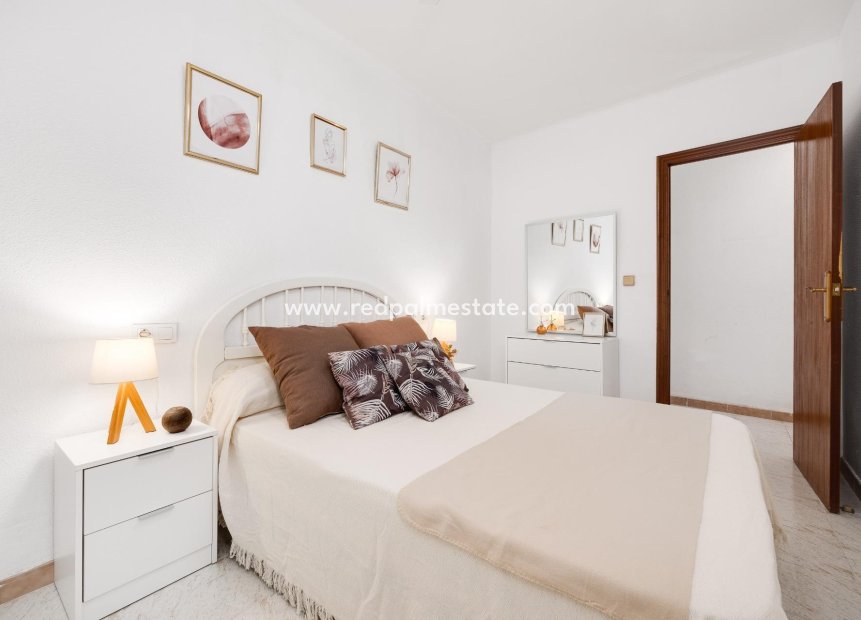 Reventa - Apartmentos -
Torrevieja - Estacion de autobuses