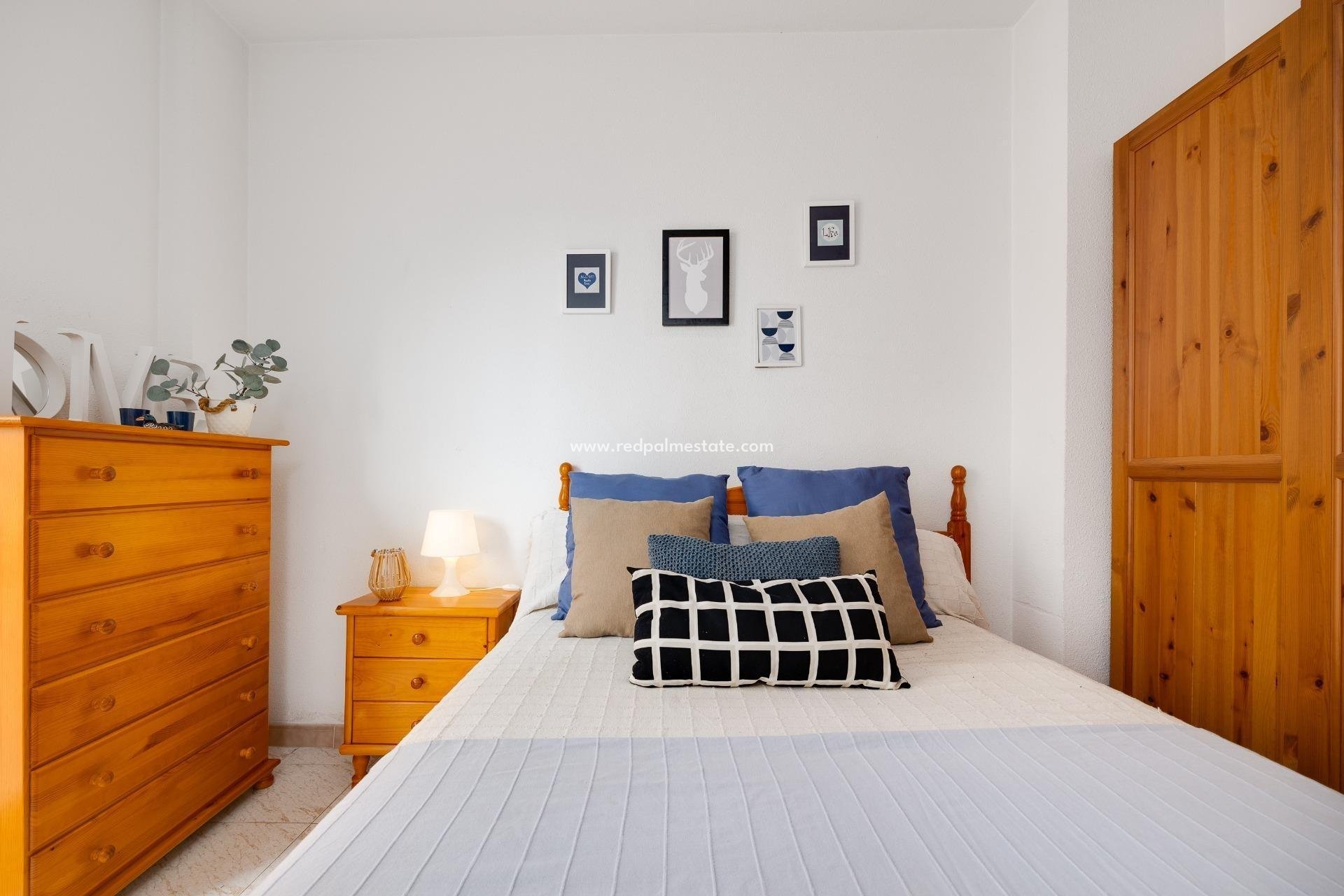 Reventa - Apartmentos -
Torrevieja - Estacion de autobuses