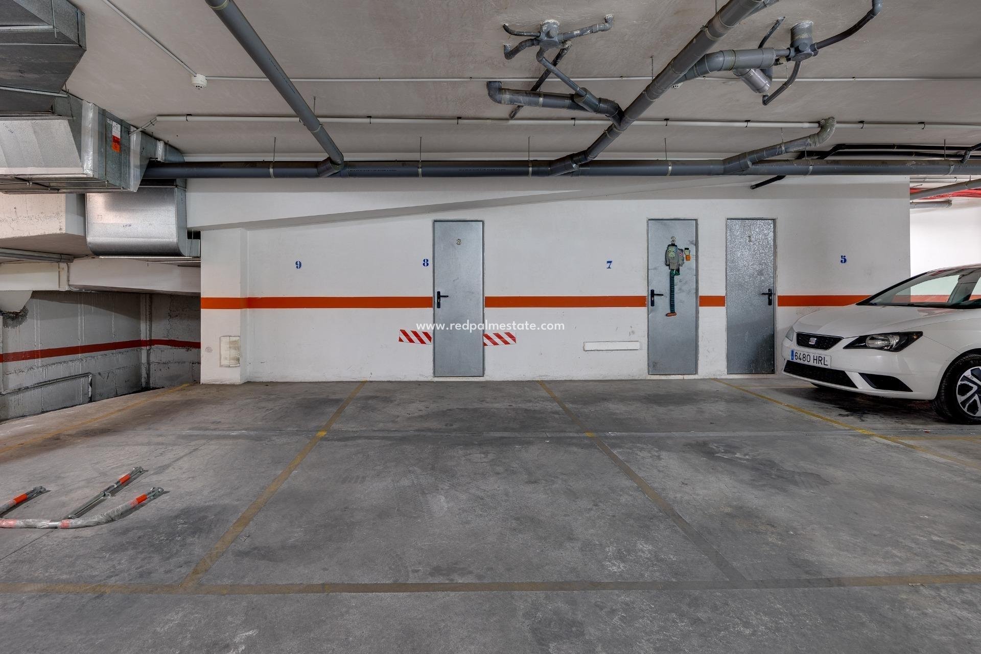 Reventa - Apartmentos -
Torrevieja - Estacion de autobuses