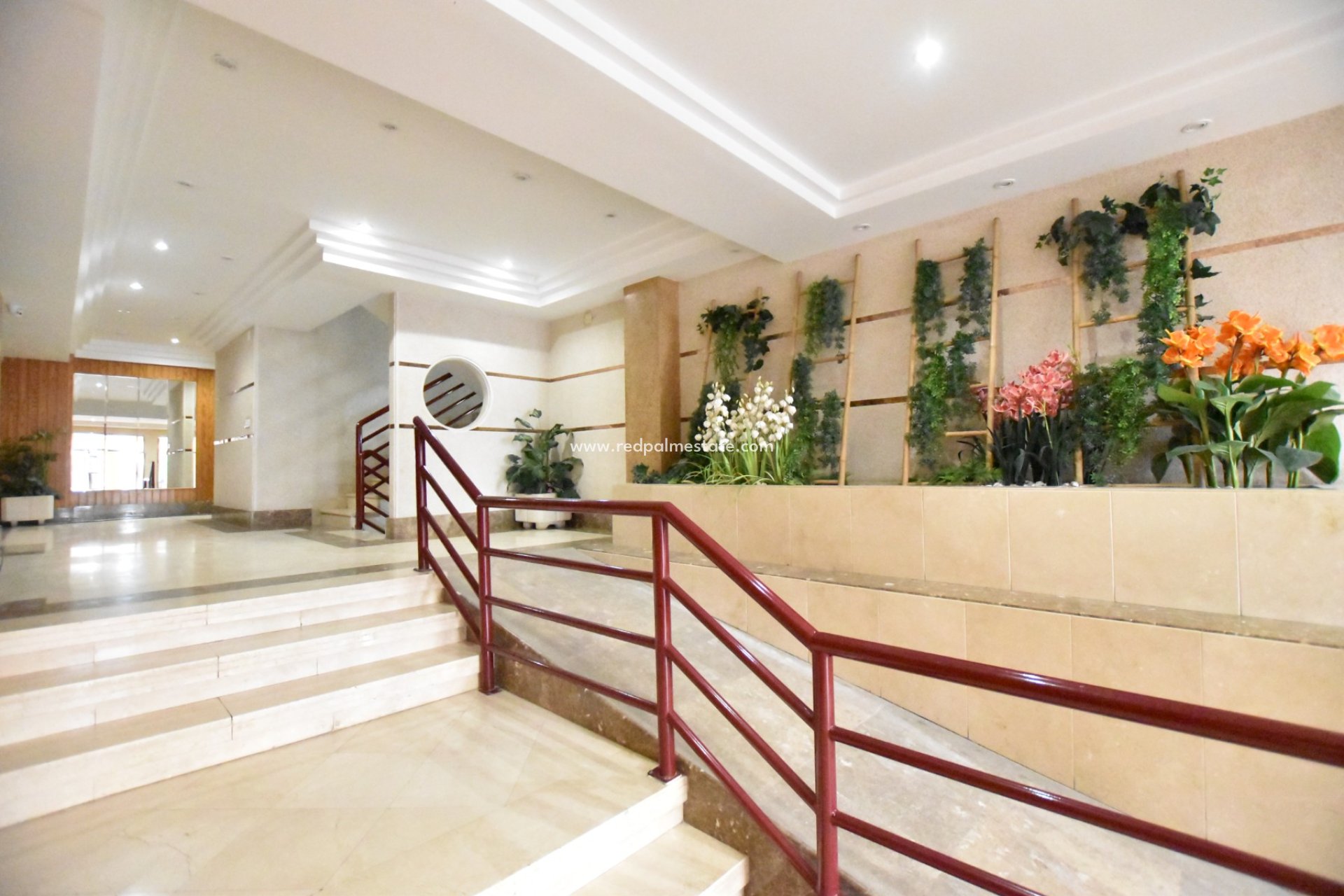 Reventa - Apartmentos -
Torrevieja - La Mata