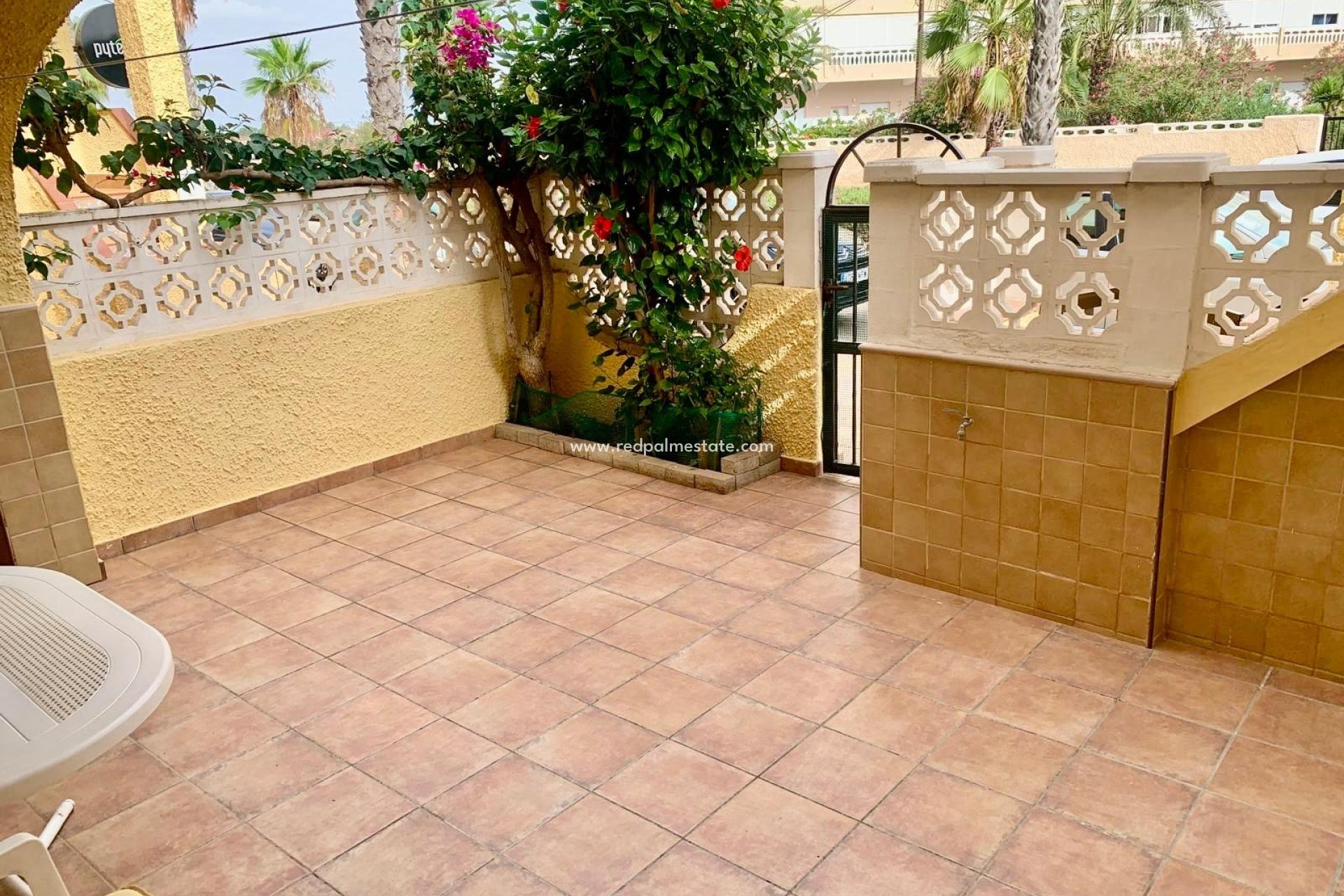 Reventa - Apartmentos -
Torrevieja - La Mata