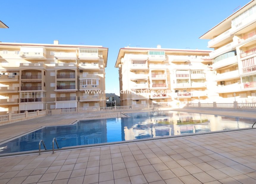 Reventa - Apartmentos -
Torrevieja - La Mata