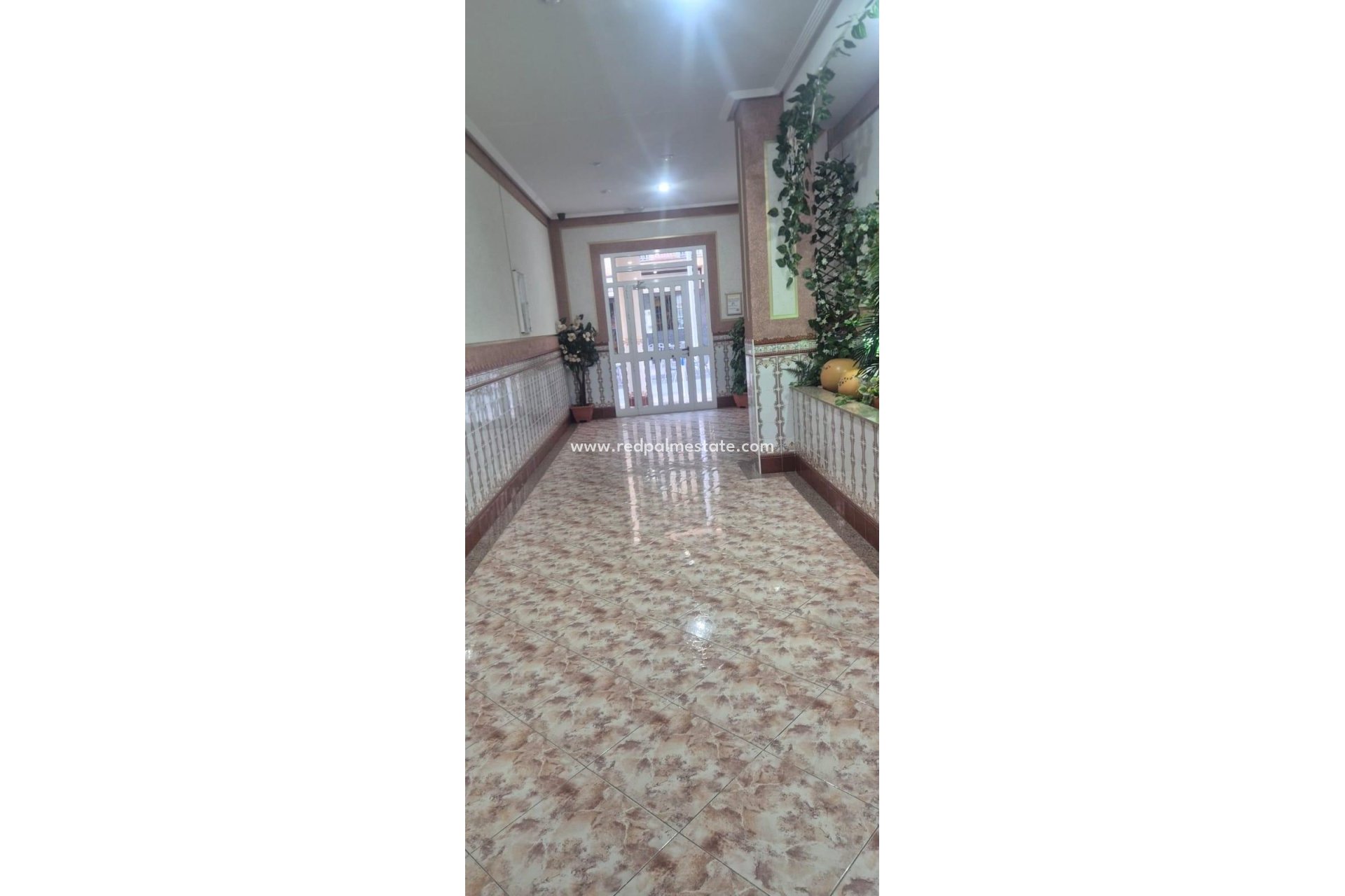 Reventa - Apartmentos -
Torrevieja - La Mata