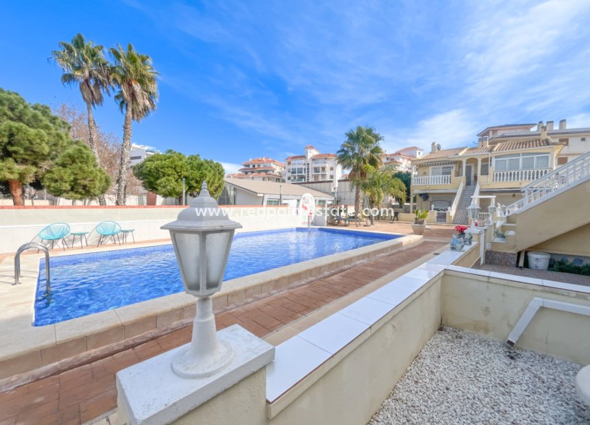 Reventa - Apartmentos -
Torrevieja - La Mata