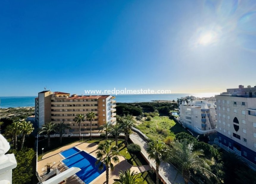 Reventa - Apartmentos -
Torrevieja - La Mata