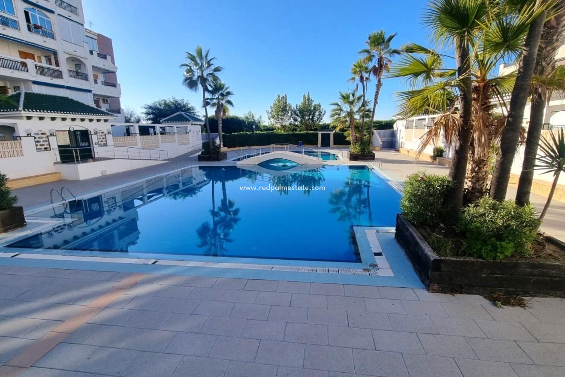 Reventa - Apartmentos -
Torrevieja - La Mata