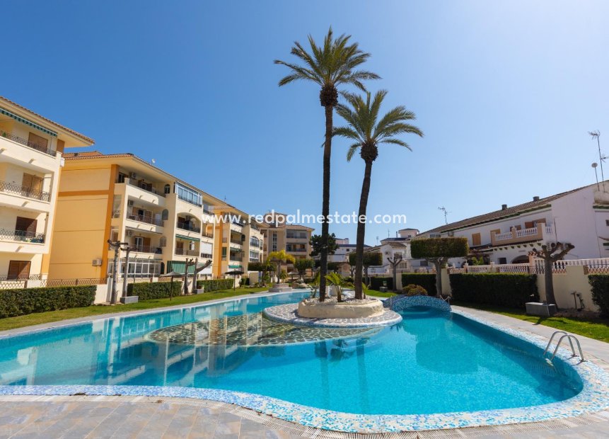 Reventa - Apartmentos -
Torrevieja - La Mata